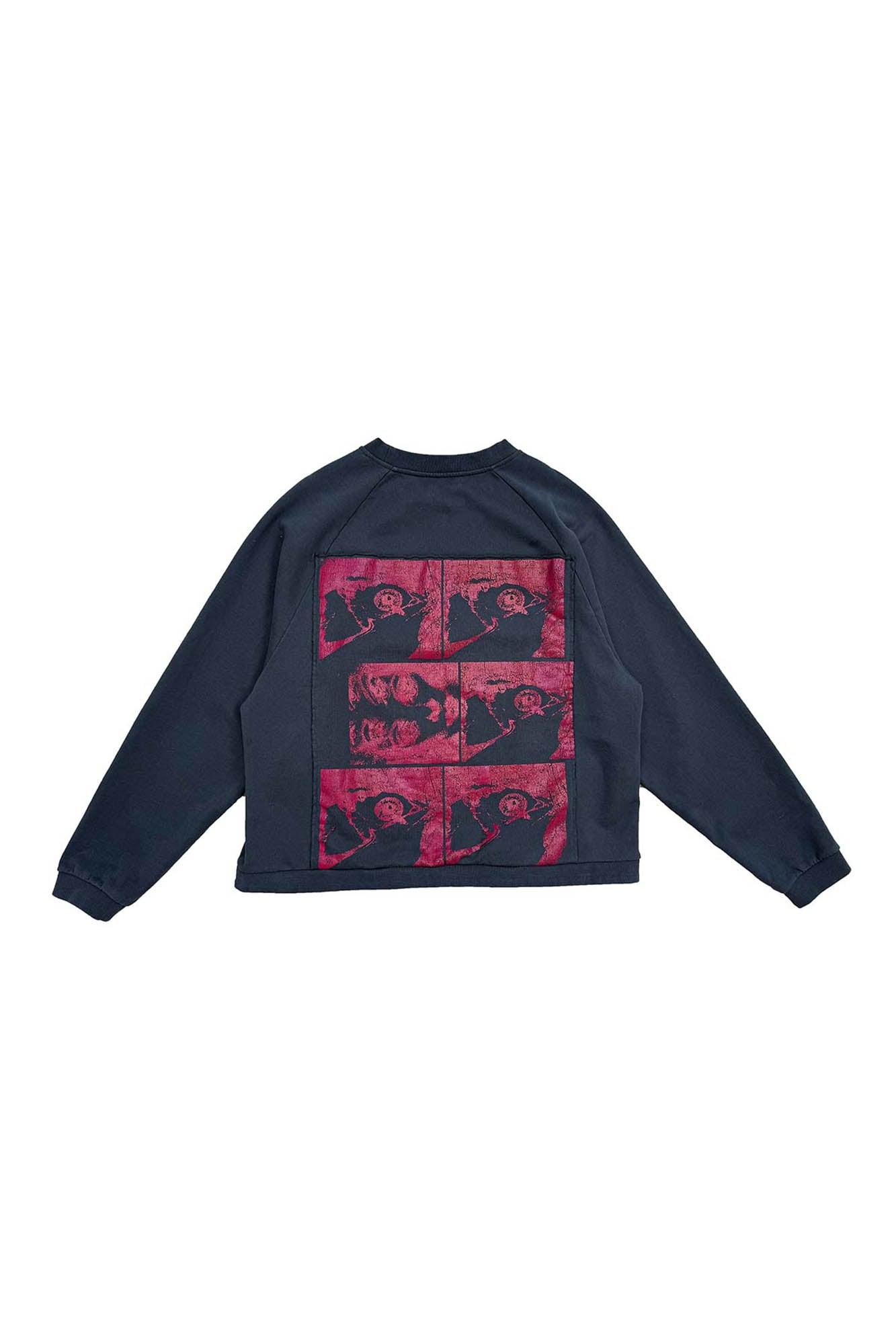 RICHILL Paneled Graphic Print Raglan Sweatshirt, premium urban and streetwear designers apparel on PROJECTISR.com, RICHILL