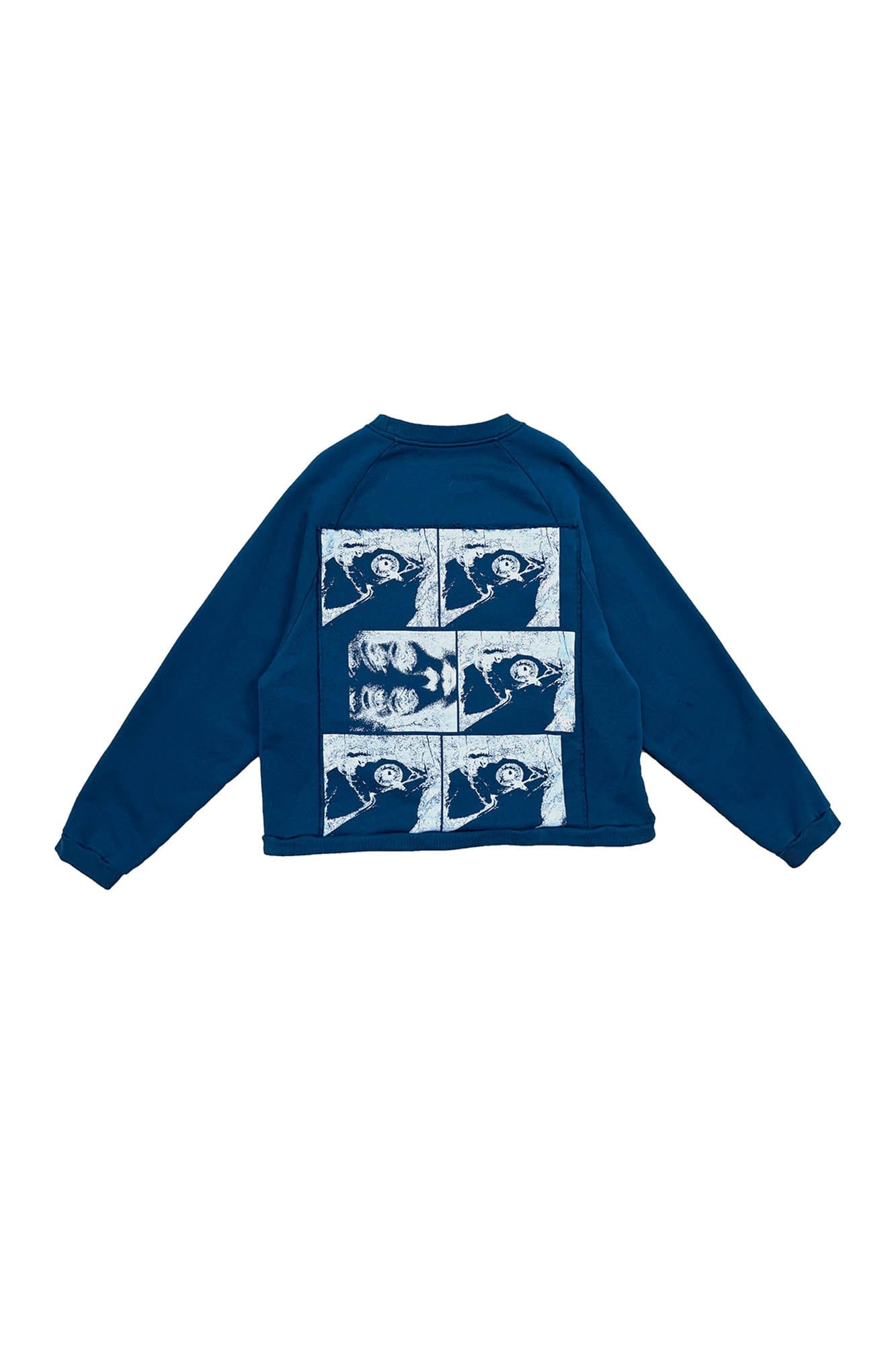 RICHILL Paneled Graphic Print Raglan Sweatshirt, premium urban and streetwear designers apparel on PROJECTISR.com, RICHILL