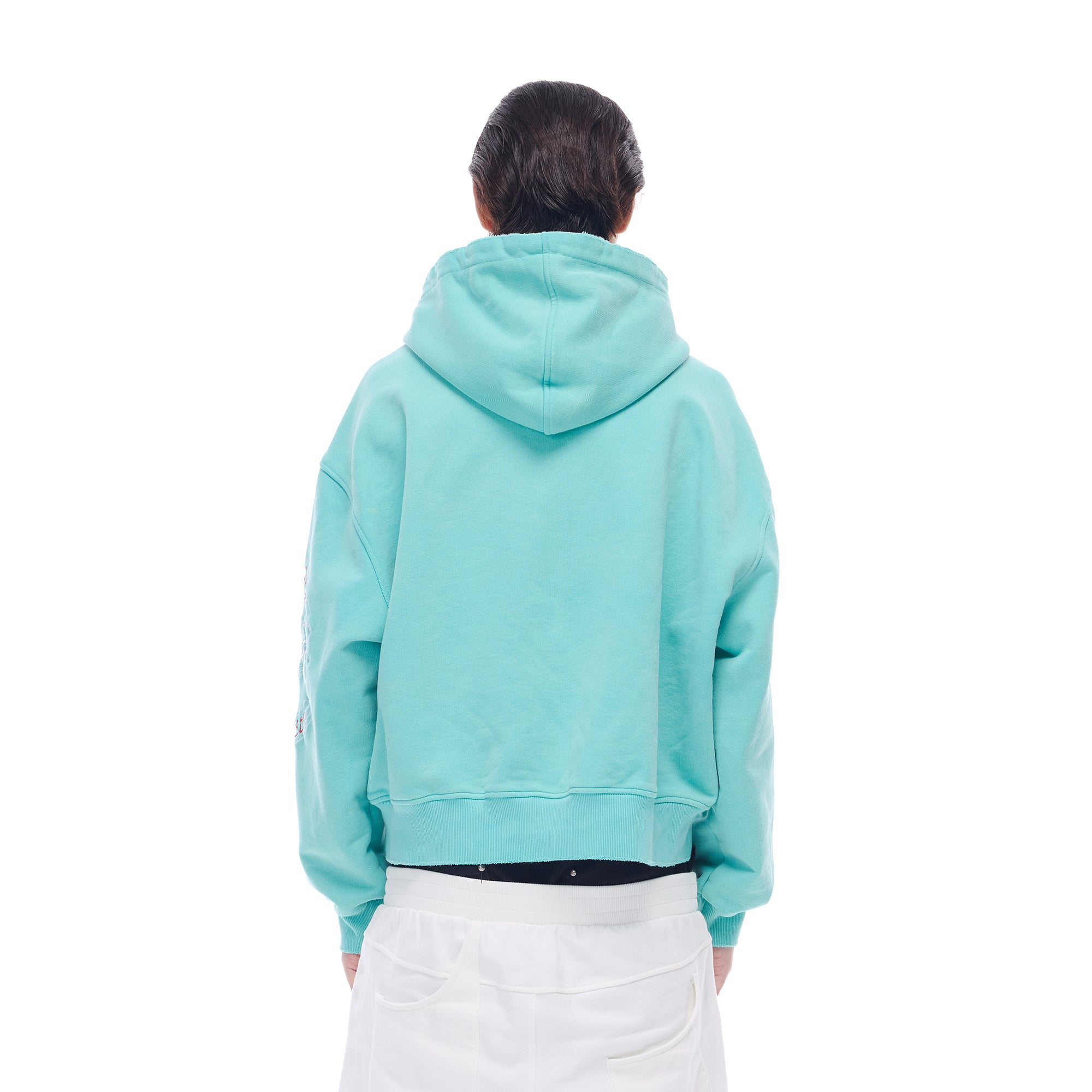WHISTLEHUNTER Washed Graphic Embroidered Hoodie