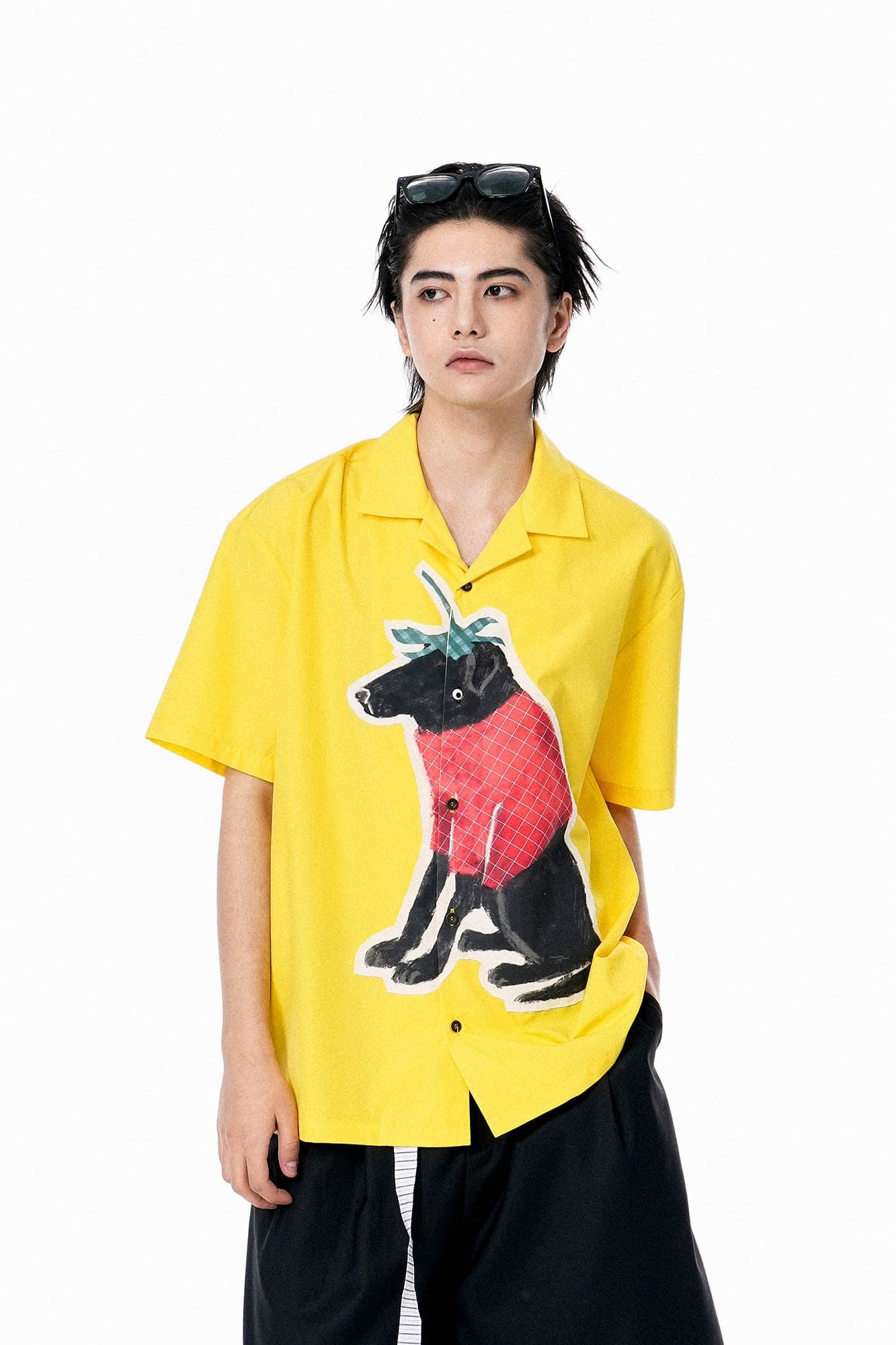 OIPWORD Strawberry Dog Graphic Half Shirt, premium urban and streetwear designers apparel on PROJECTISR.com, OIPWORD