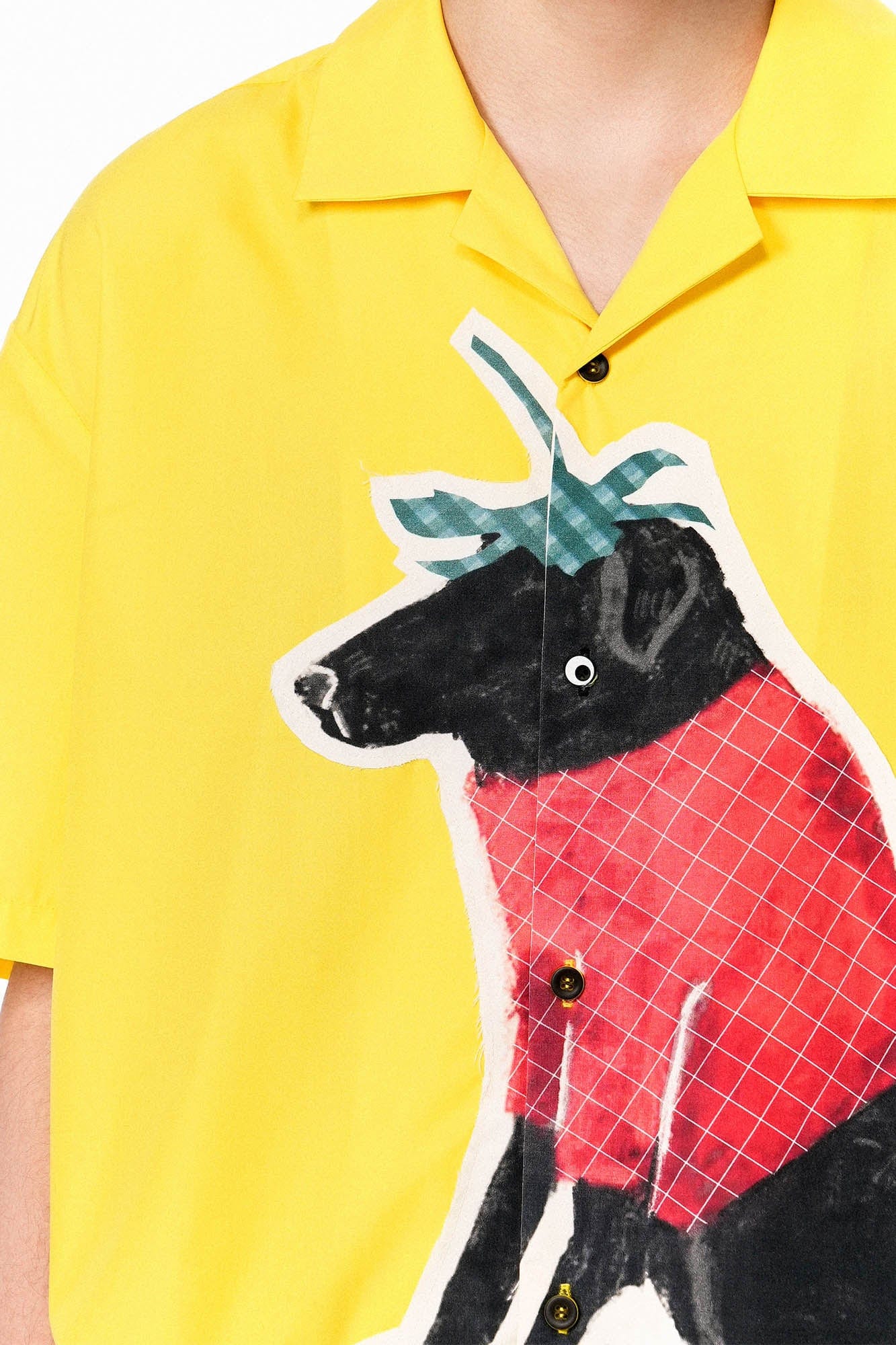 OIPWORD Strawberry Dog Graphic Half Shirt, premium urban and streetwear designers apparel on PROJECTISR.com, OIPWORD