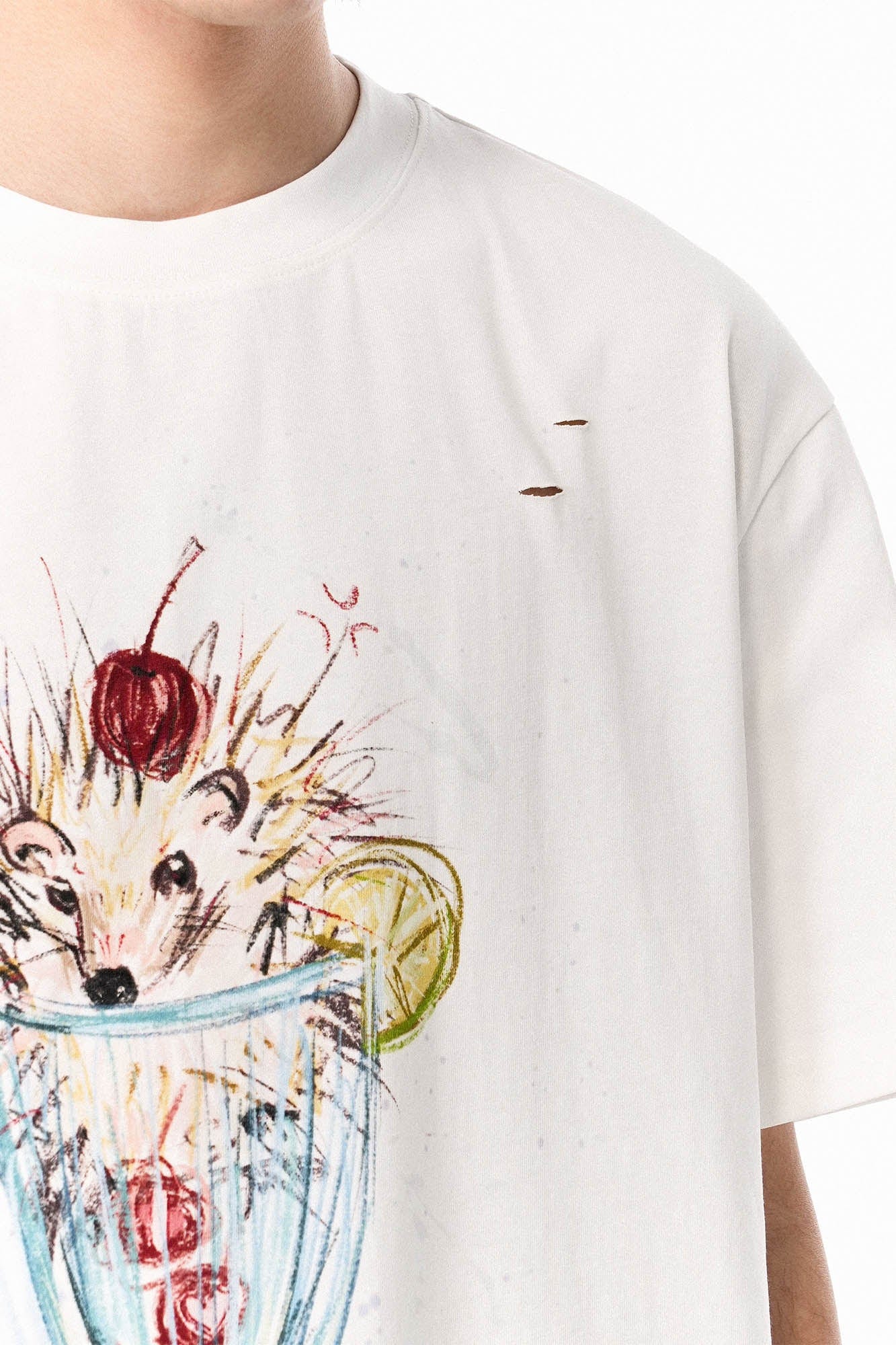 OIPWORD Cherry Hedgehog Graphic T-Shirt, premium urban and streetwear designers apparel on PROJECTISR.com, OIPWORD