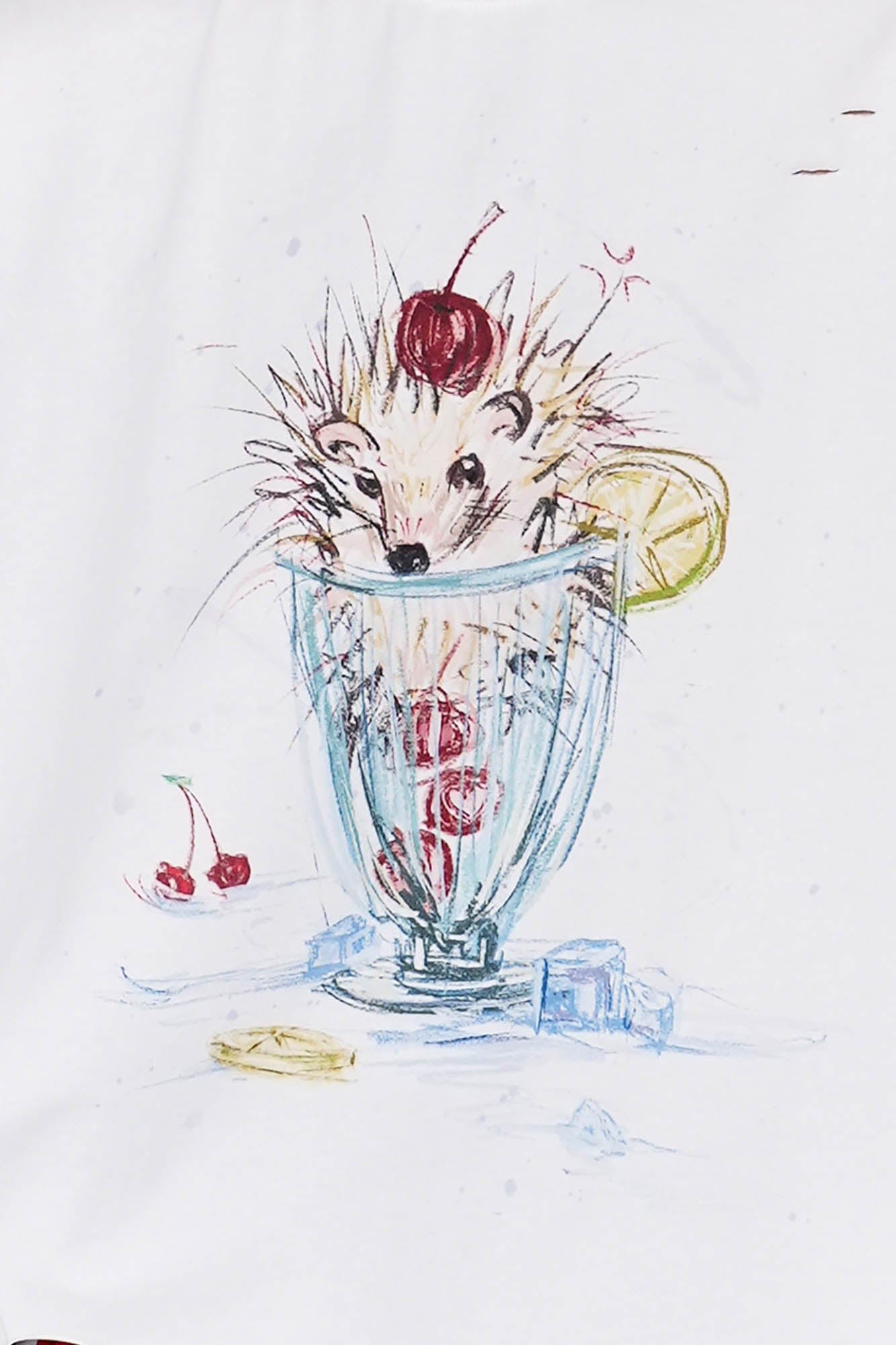 OIPWORD Cherry Hedgehog Graphic T-Shirt, premium urban and streetwear designers apparel on PROJECTISR.com, OIPWORD