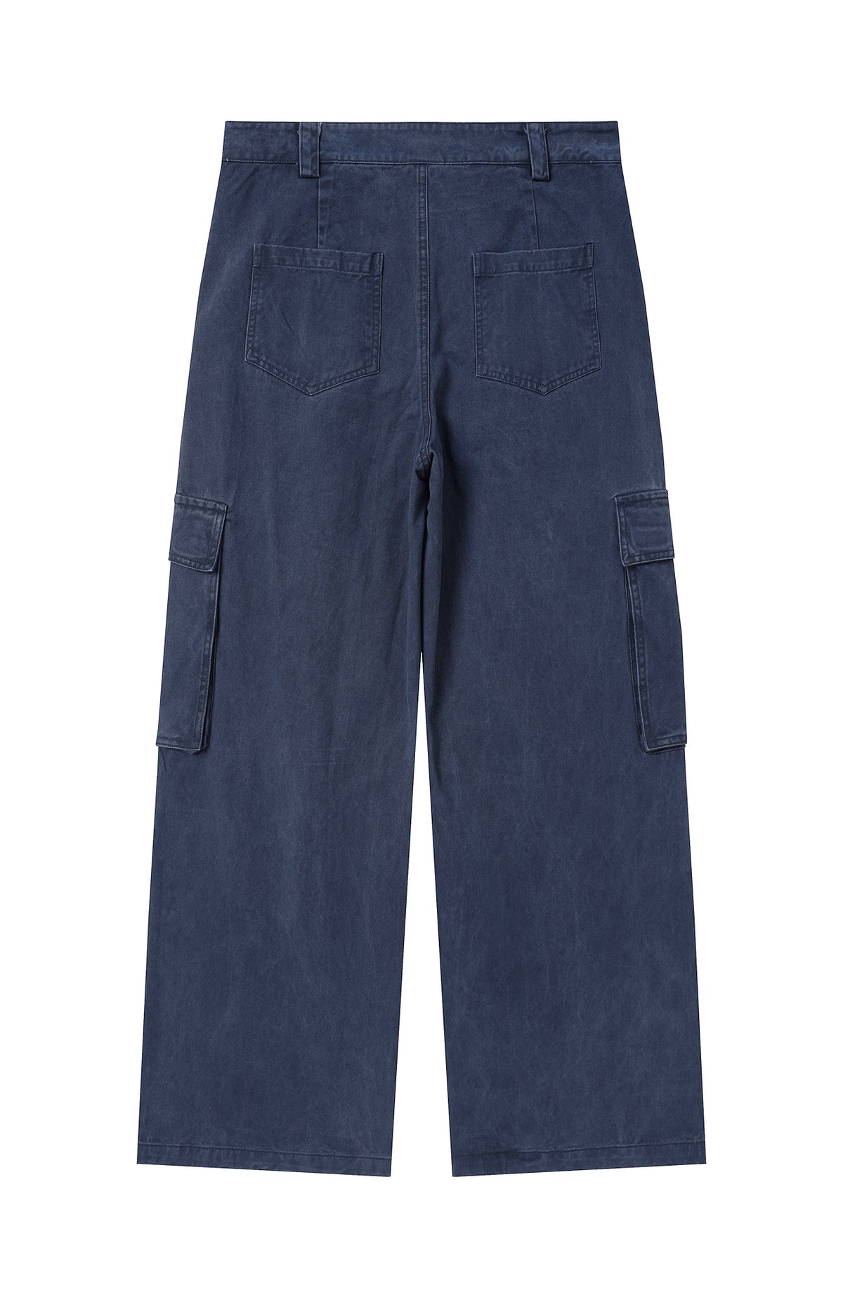 BOTANICA Washed Double-Pleat Multi-Pocket Wide-Leg Pants