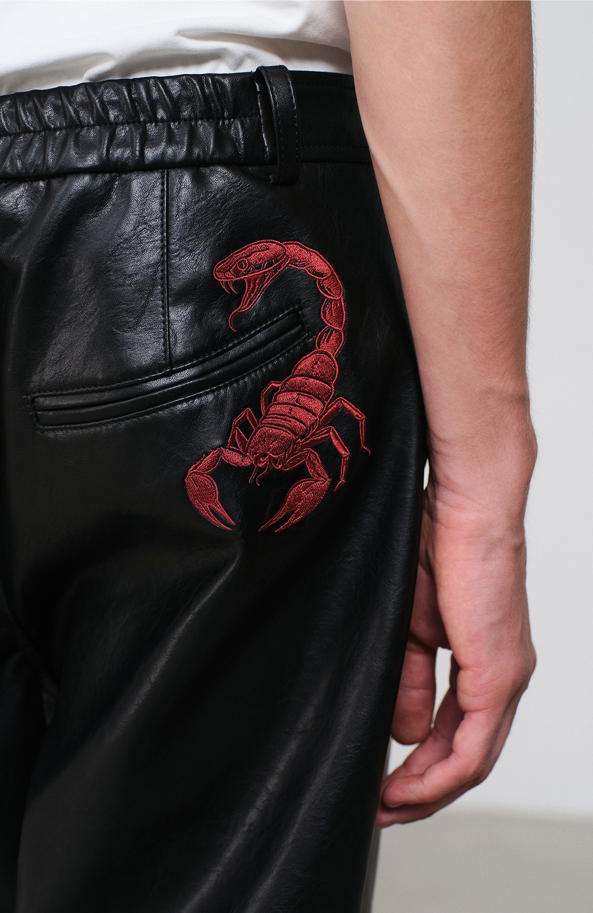 FACEONLAB Embroidered Straight-Leg Faux Leather Pants
