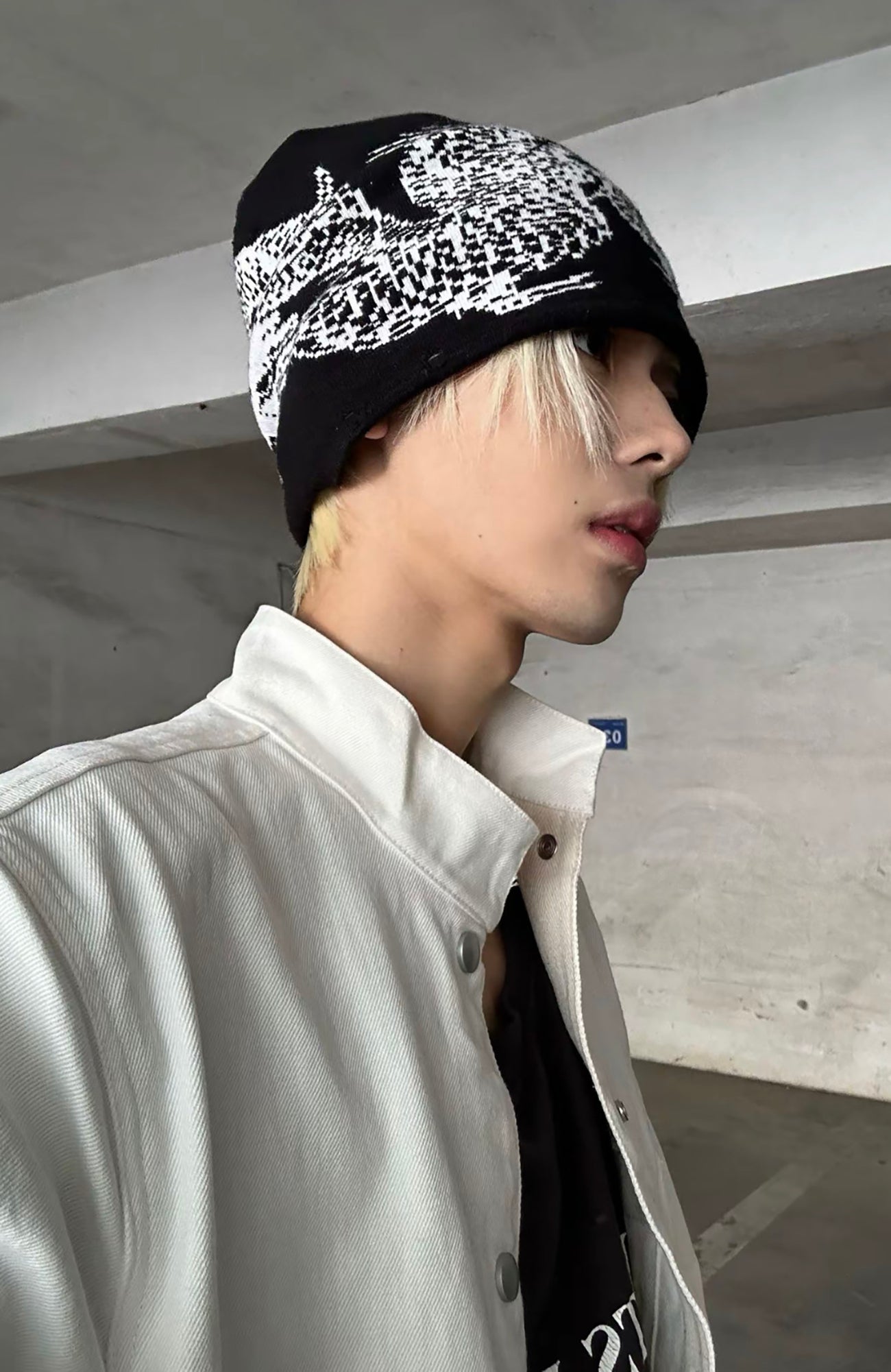 REGEN ZONE Dragon Graphic Kendo Beanie