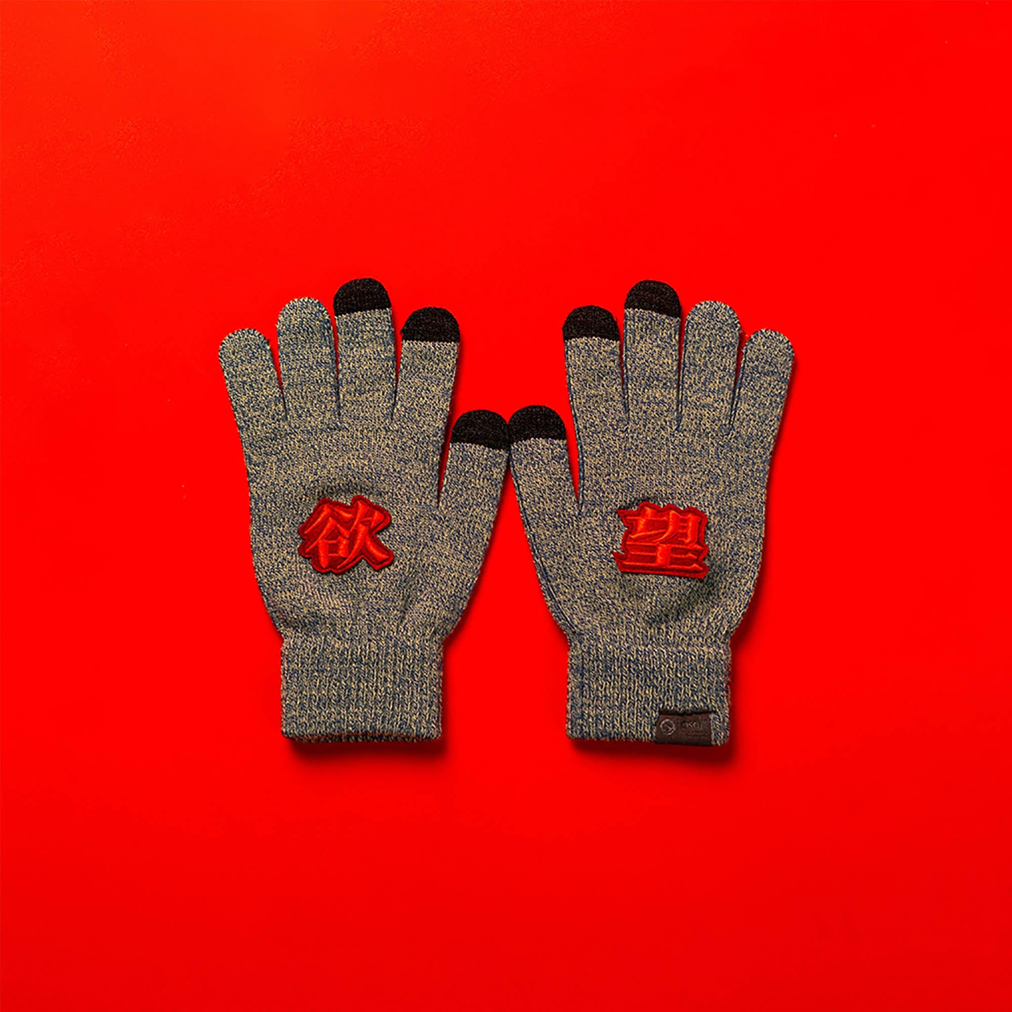 OSCILL Embroidered Knit Gloves