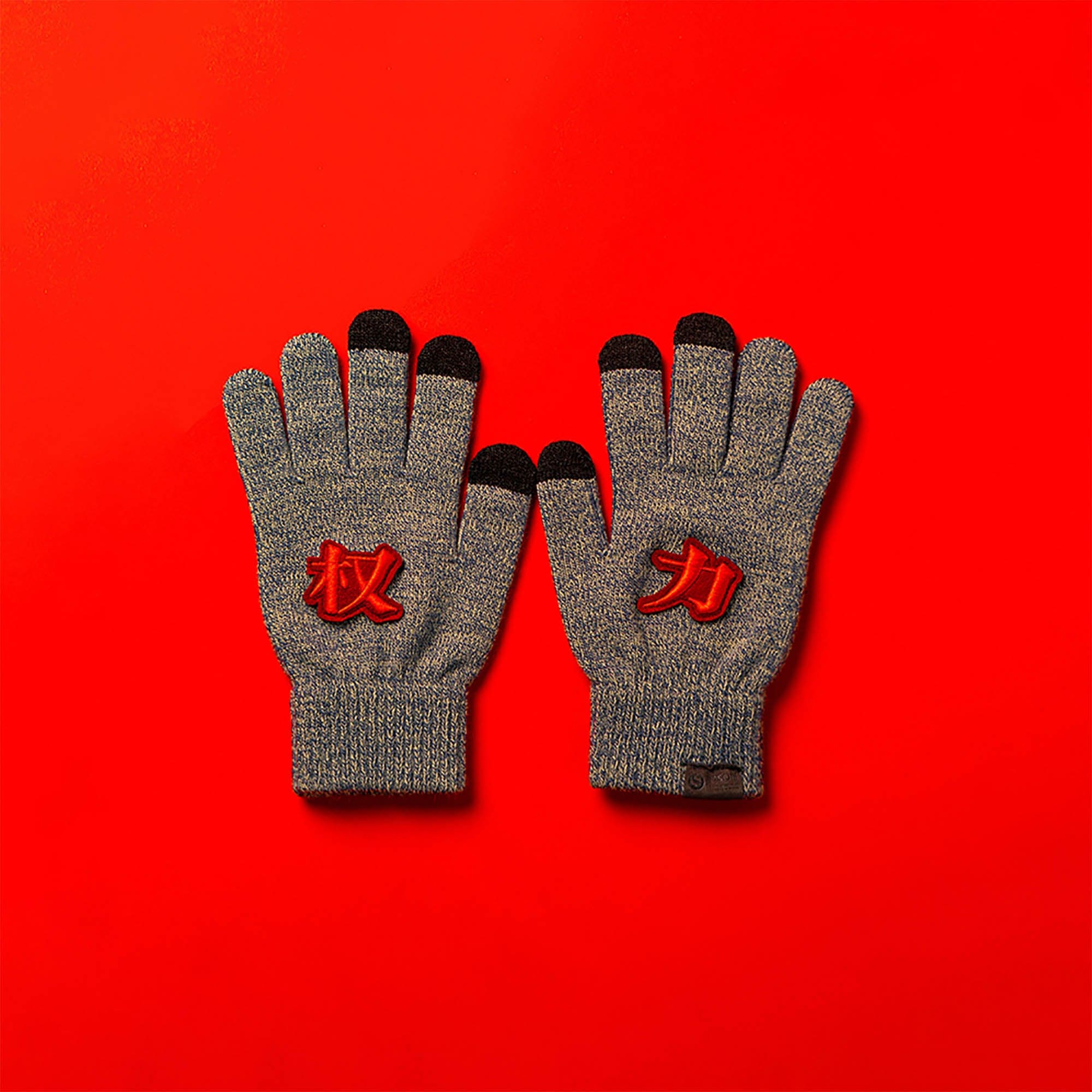 OSCILL Embroidered Knit Gloves