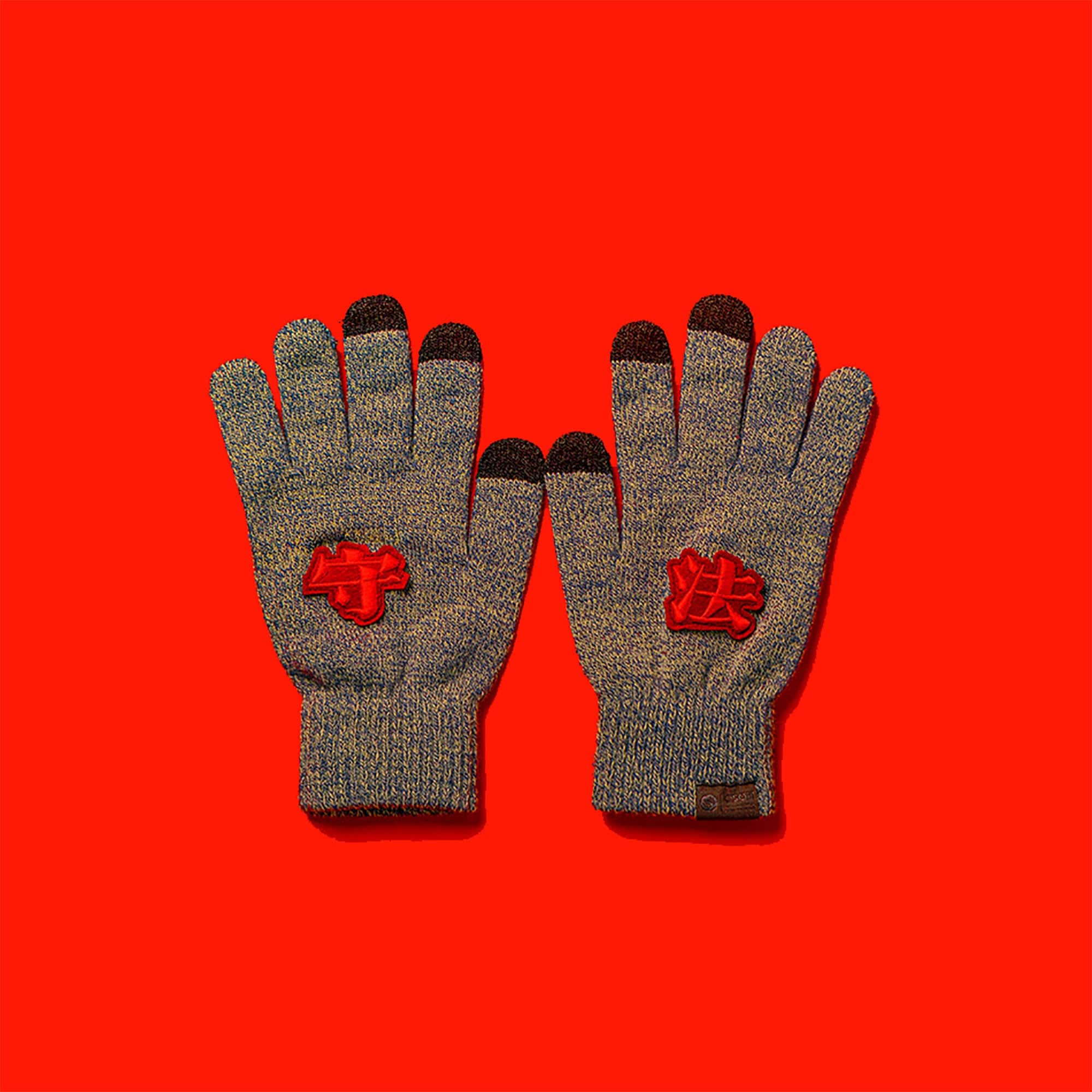 OSCILL Embroidered Knit Gloves