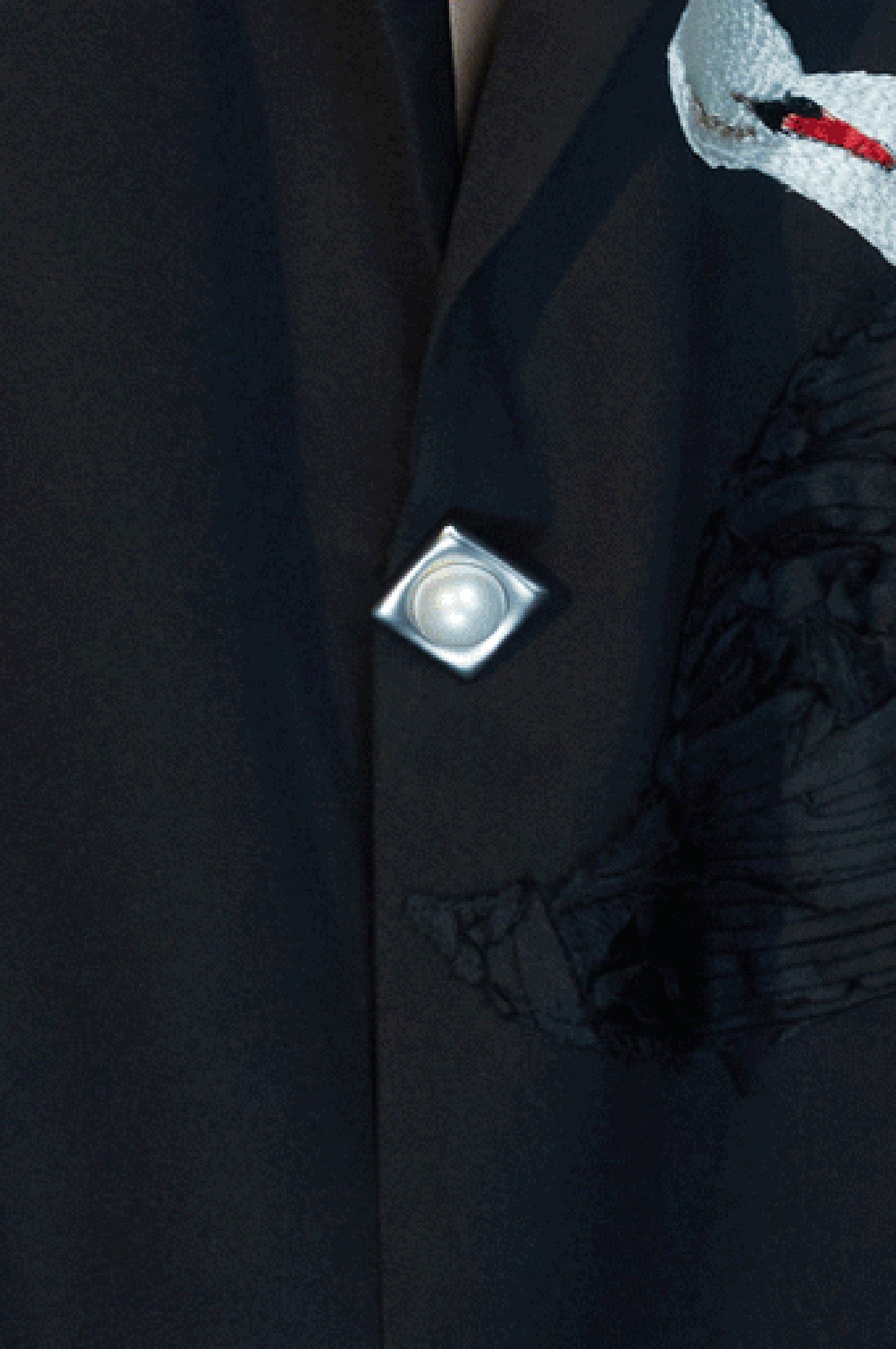 JIECHI Swan Embroidered Pearl Button Blazer