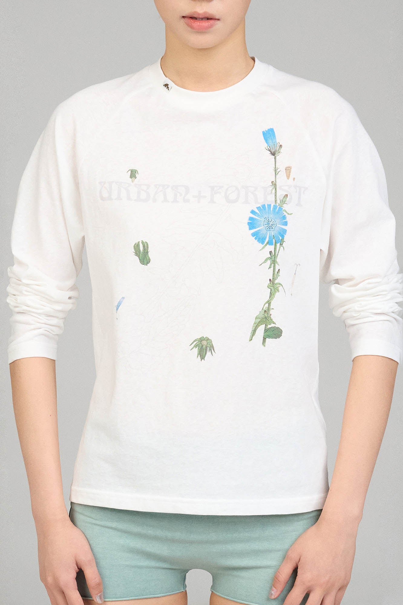 URBAN+FOREST Plant Atlas Raglan Long-Sleeve Tee