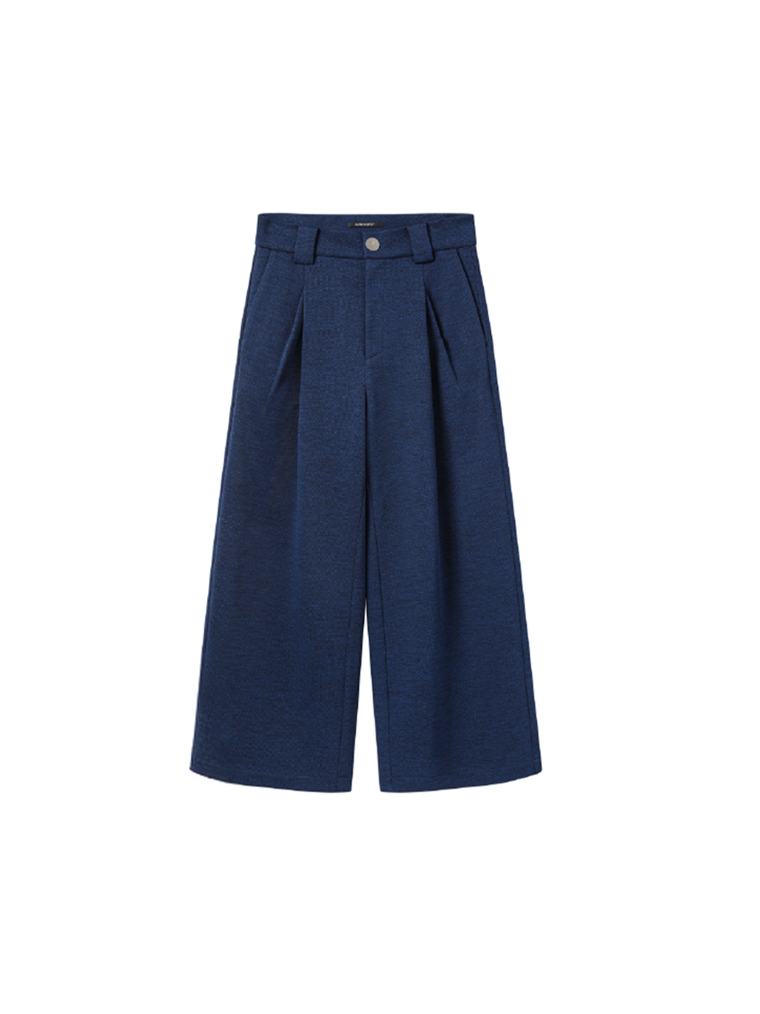 ALVNG AR ANTS Pleated Twill-Blend Wide Trousers