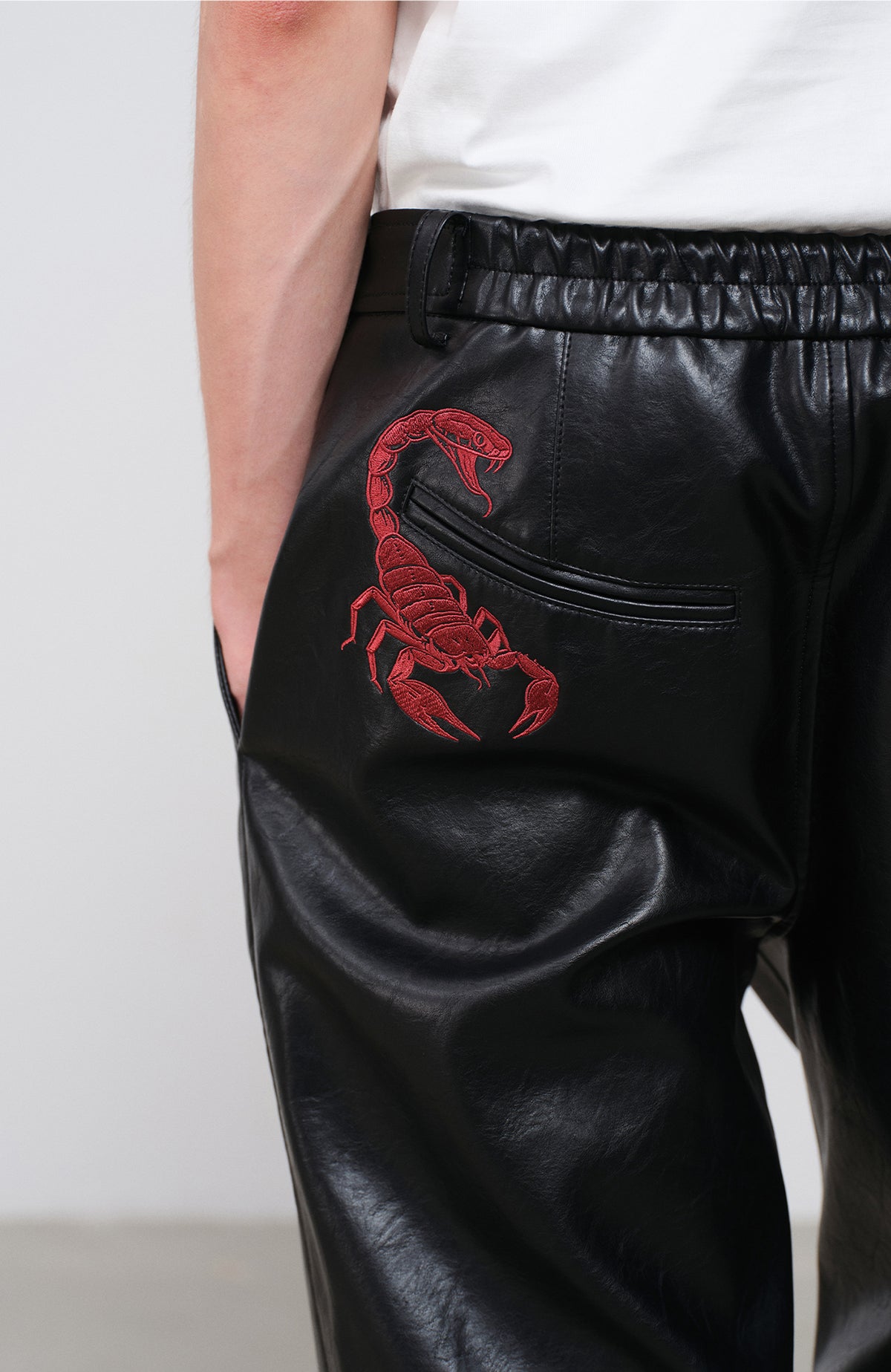 FACEONLAB Embroidered Straight-Leg Faux Leather Pants