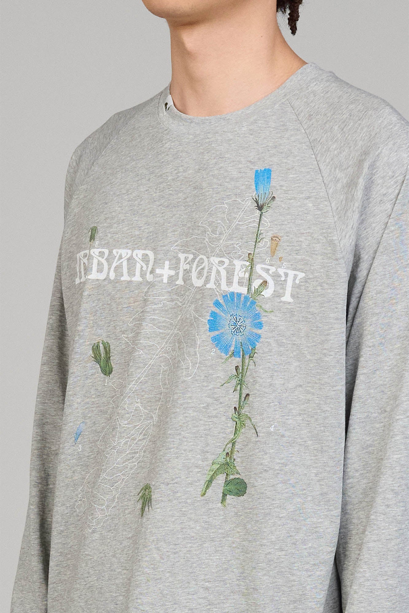 URBAN+FOREST Plant Atlas Raglan Long-Sleeve Tee